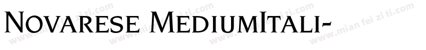 Novarese MediumItali字体转换